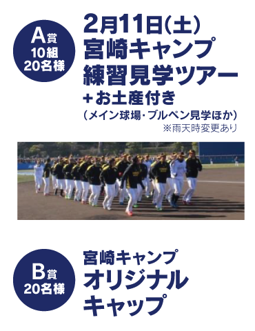 ファミマで買って応募しよう 福岡ソフトバンクホークス宮崎キャンプ体験キャンペーン Pr リビングかごしまweb