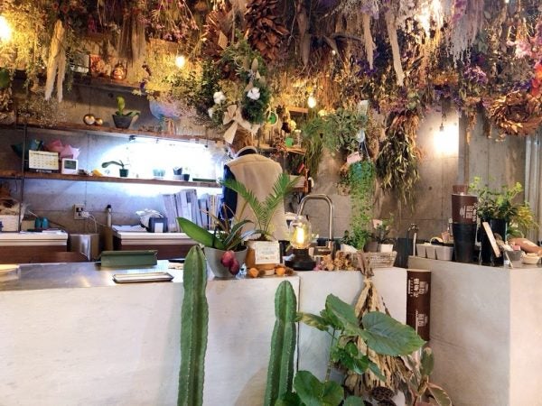 東区千早 花とカフェが織りなすハーモニー リビングふくおか 北九州web 東区千早 花とカフェが織りなすハーモニー リビングふくおか 北九州web