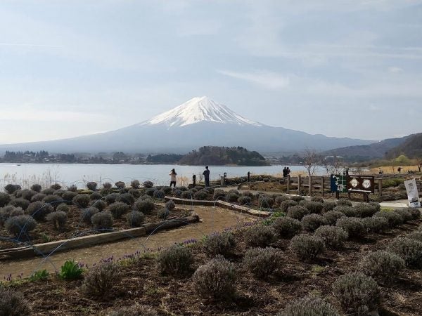 山梨】縁起がいい一富士二鷹三茄子！お正月「富士山」はここからいかが