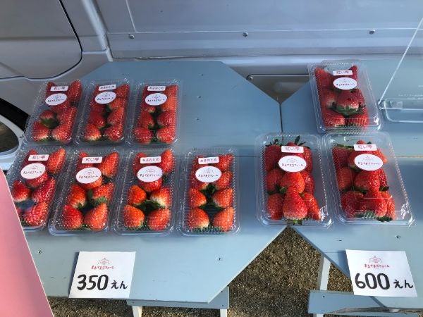いちごを超えたいちごスムージー【まるいちごファーム