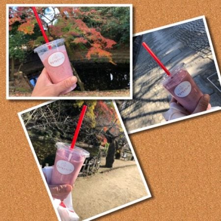 まるいちごさま 発送月が選べる】 陽一郎園の完熟冷凍いちご 2.7kg【令和4年群馬