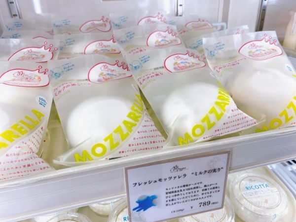 【1ペア】チモールフタオチョウ（チモール産） Amazon.co.jp: シリコンモールド ハムスター チーズ ケーキ型