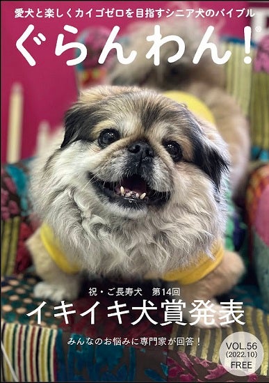 用賀】犬の介護ゼロを目指す体験型ドッグカフェ「meetぐらんわん！」 | リビング東京Web