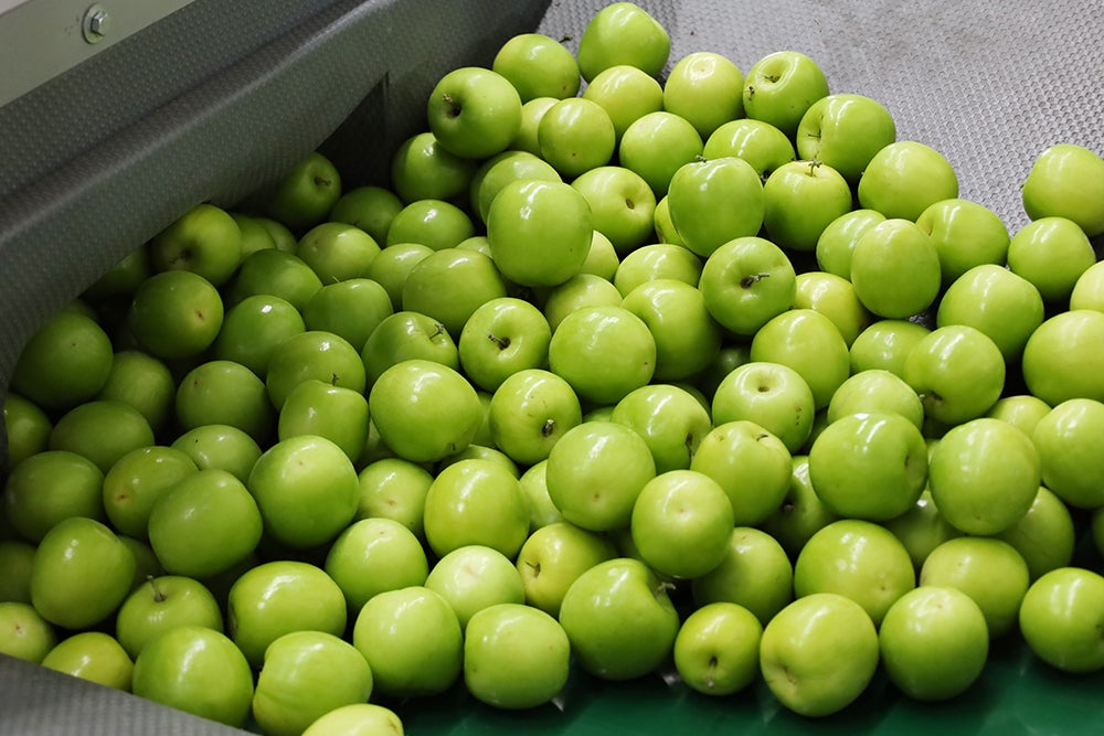 なつぞらさま専用☆期間中農薬不使用☆お気に入り野菜セット - 野菜