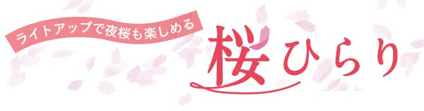 ライトアップで夜桜も楽しめる 桜ひらり｜特集 | リビング岡山Web