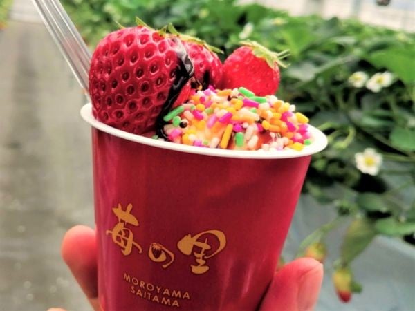 毛呂山町】いちご農園で自分だけのパフェ作り！アイスやチョコもかけ