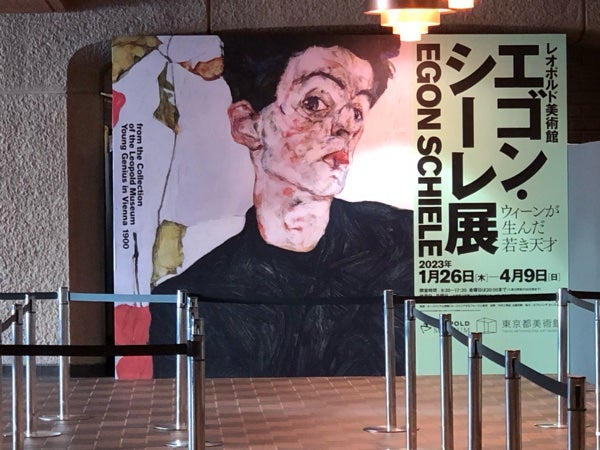 Amazon.co.jp: エゴン・シーレ～愛欲と陶酔の日々～ [DVD