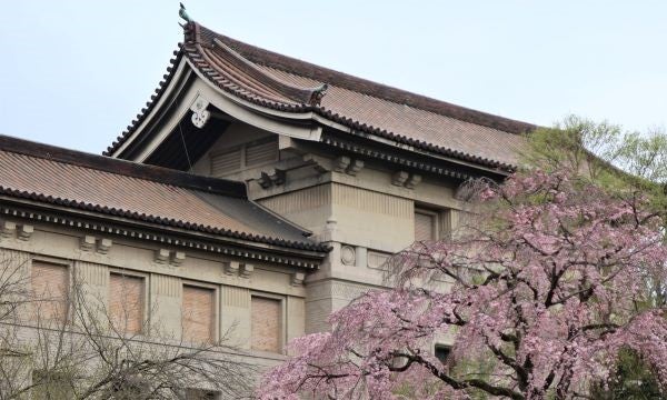 上野】東京国立博物館「博物館でお花見を」桜咲く春の上野はトーハクで