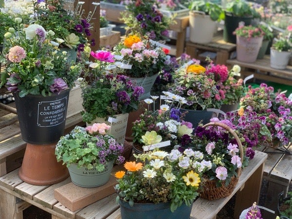 フラワー・ガーデニング uyiyiytiy 38159-206-