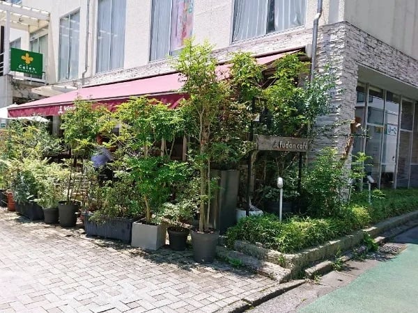 宇都宮市でおすすめの駅近ランチ10選 | リビング栃木Web