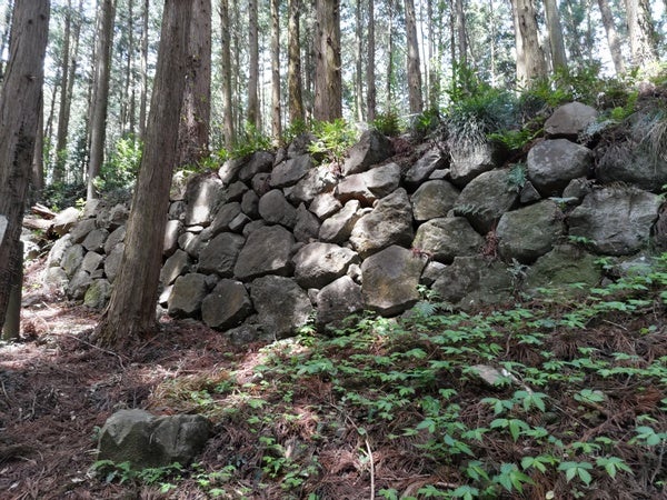 山城です。 SAINT Mxxxxxx × NEIGHBORHOOD SS25 STHD . LS TEE SPEED KILLS