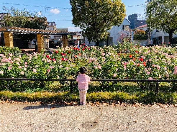 福山 ストア バラ公園 ペット