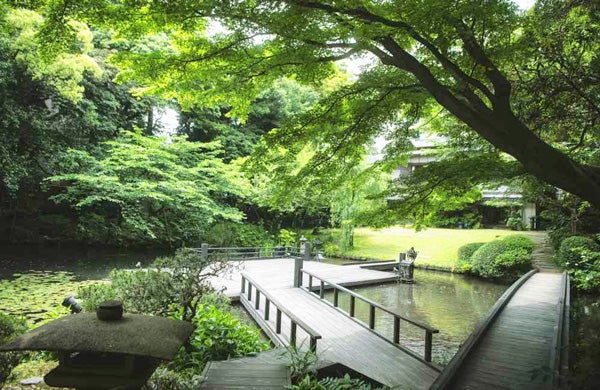 静岡市葵区】徳川ゆかりの庭園で優雅なランチを | リビング静岡Web