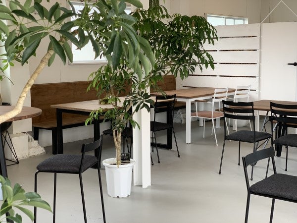 堺】家具と観葉植物とカフェと。「SULK SAKAI（サルク サカイ