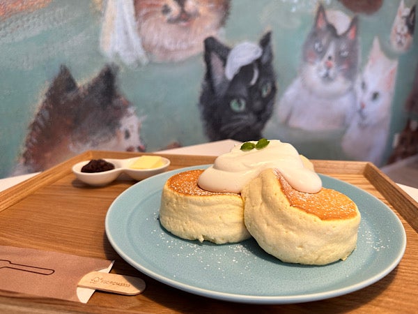 ゆめかわ猫パンケーキ♡ ゆめかわ猫パンケーキ♡ ゆめかわ猫パンケーキ♡