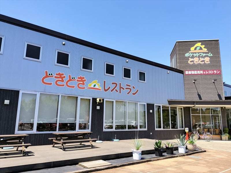 プレミア！限定色ビルカウンター マネーカウンター 耐難い