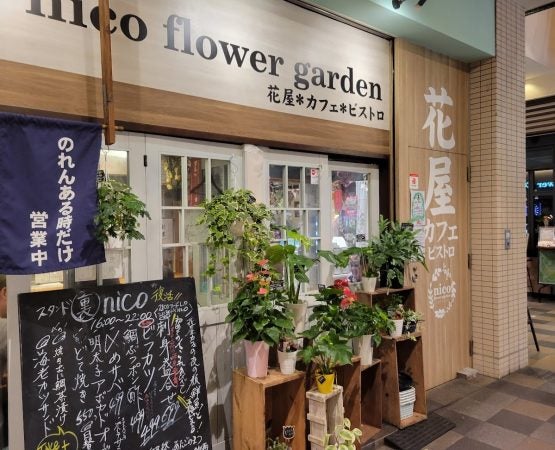 天王寺】おいしい魚とお酒がお得！花屋でカフェでビストロ！「ニコ