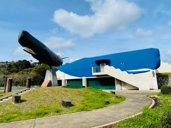 南さつま市】Hill of the Sleeping Whales in Oura（大浦の「くじらの