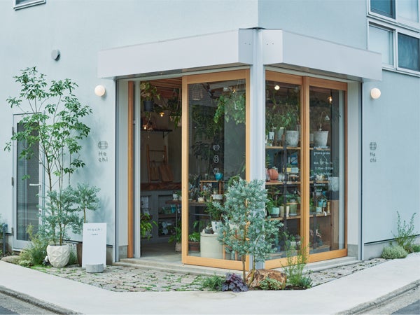 センスあふれる観葉植物を飾って暮らしに彩りを@Hachi green ＆ garden