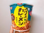 【日清】スパイスカレー好き必見！カレーメシがスパイスカレーver.を販売している…