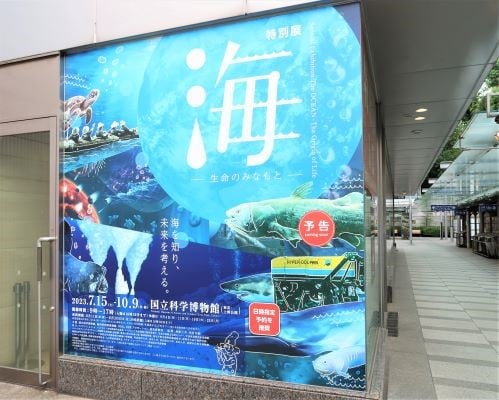 上野】国立科学博物館 特別展「海 ー生命のみなもとー」夏休みの自由