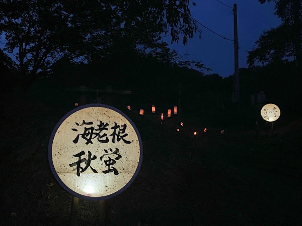 蛍造の(シエード)輸用の見本、？ 蛍造の(シエード)輸用の見本、？