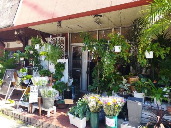 花屋ページ 早良区野芥】地域で愛される、姉妹で営む「花屋SORA」 | リビング