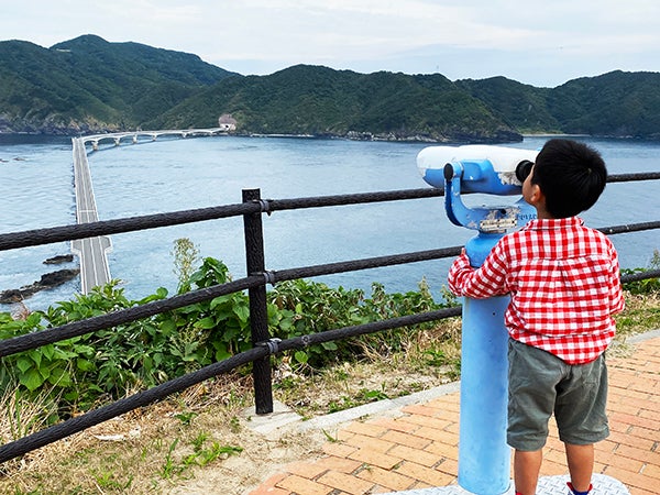 まとめ買い10個セット品】【木製作り板チリトリ型 小】【厨房器具 製菓