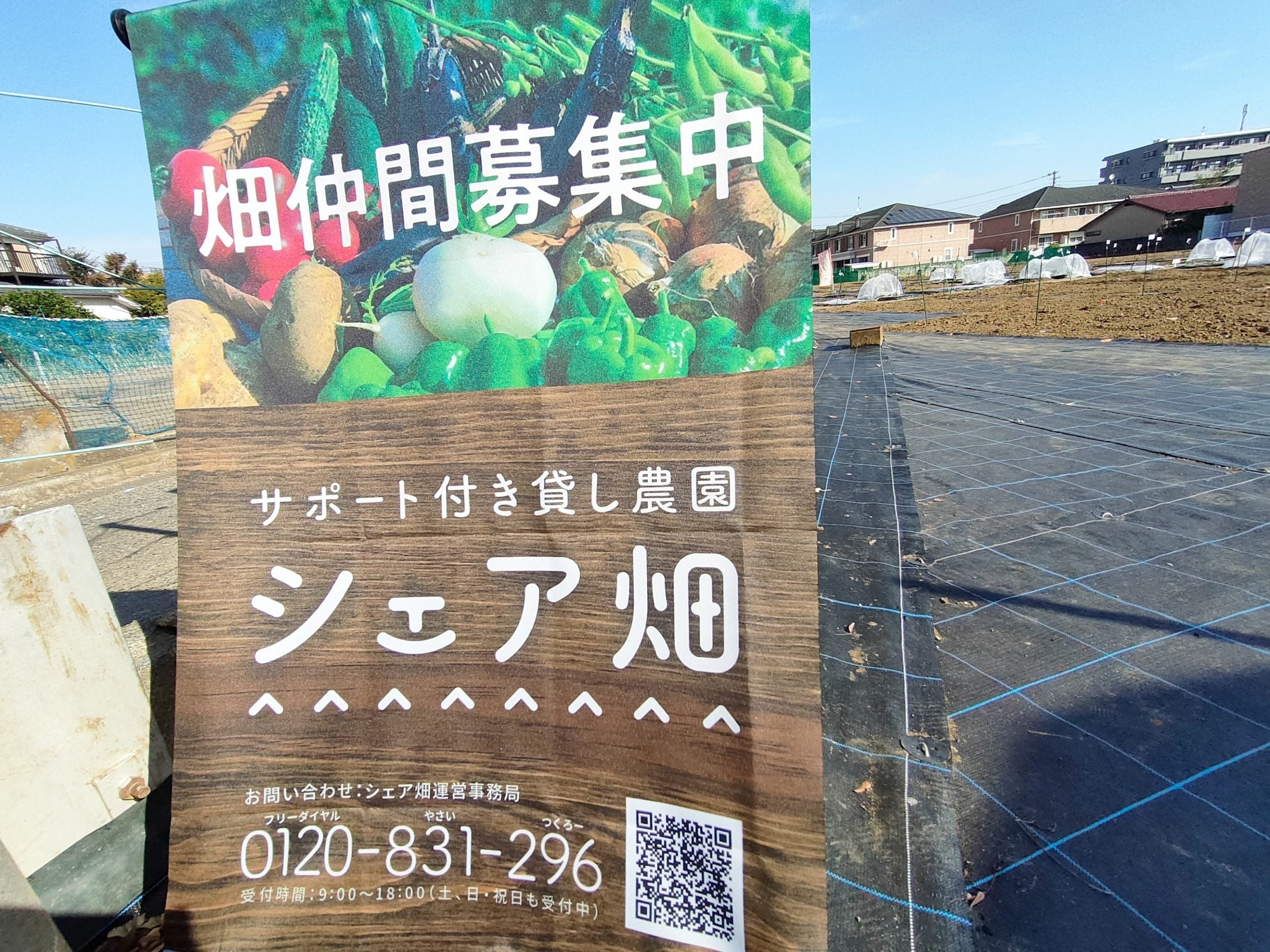 高津】サポート付きシェア畑で野菜づくりを始めよう｢シェア畑 高津｣ | リビング田園都市Web