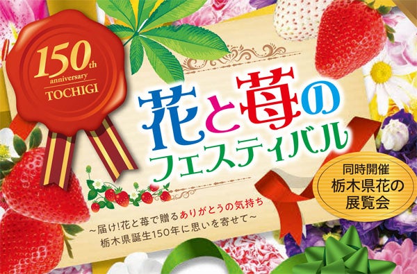 花と苺 2月11日（日・祝）・12日（月・振休）は楽しいイベント盛りだくさんの「花と苺のフェスティバル」へ！ | リビング栃木Web