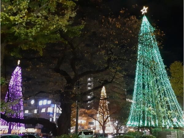 国立】大学通りイルミネーション☆七色のツリーで駅前と商店街が輝く