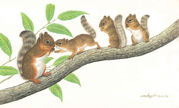 神奈川県】美しくて精密で愛らしい「生態画」の世界@神奈川県立生命の