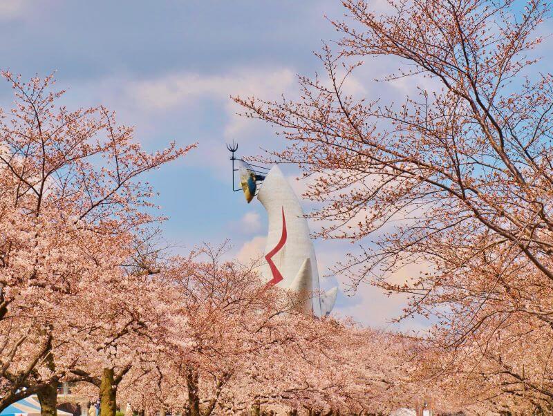 電車で行ける】2024年 北摂のおすすめお花見スポット(1/6) | リビング