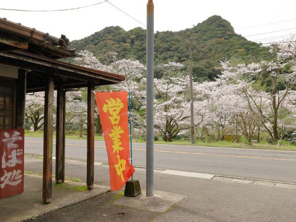 薩摩川内市・入来峠】昔ながらのそば処「七福」から窓越しに見る「清浦ダム」の桜が絶景！ | リビングかごしまWeb