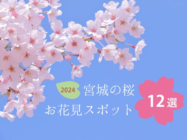sakura2024_eye.jpg