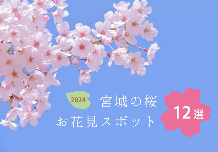 2024春｜宮城の桜・お花見スポット12選 | リビング仙台Web