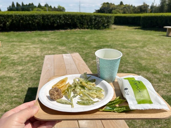 【鹿児島市直木】春のお楽しみ♪ 『坂之上製茶』さんの新茶摘み体験！