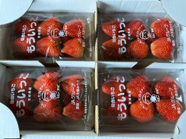 米山産「もういっこ」で作ったソフトクリーム＆いちご直売所でスイート