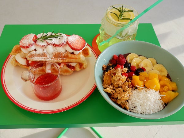 フリーライター、造形