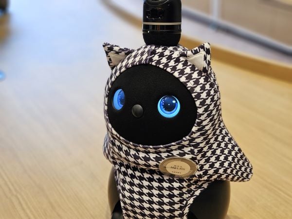 ラボット 黒 かわいい LOVOT3 0 らぼっと3 0 RobotPlanet