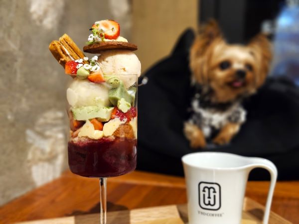 芝公園】カフェバー「ビヨンド ザ ボックス」で愛犬と夜パフェ