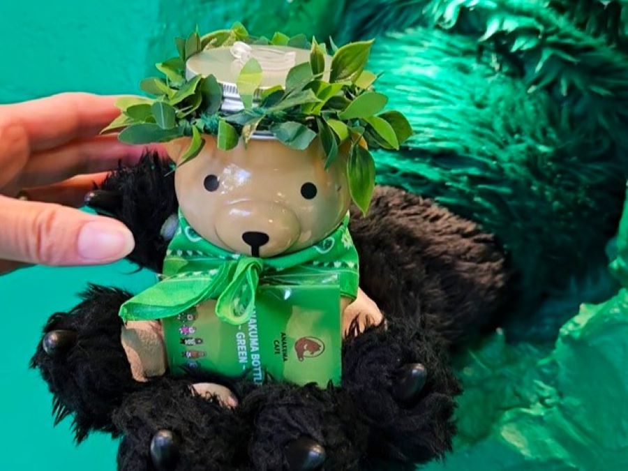 原宿】クマさんからドリンクを受け取る「アナクマ カフェ」 | リビング