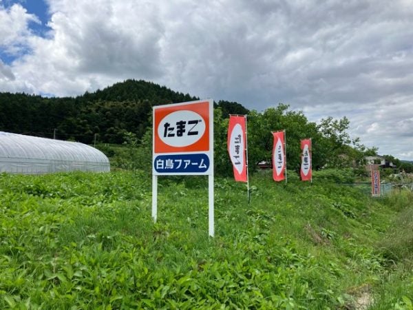 一度食べたらもうとりこ！皆が足繫く通う「白鳥ファーム」のたまご