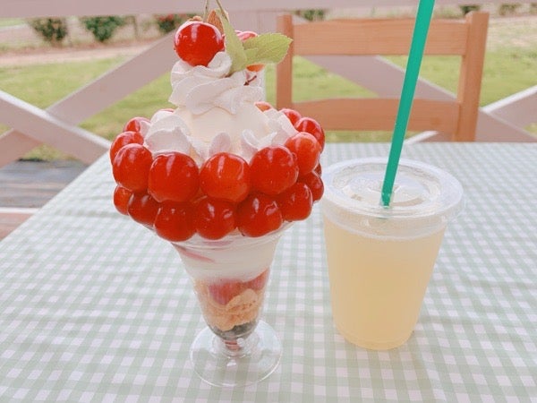 宝石のように輝く絶品さくらんぼパフェを堪能！農家カフェ「森の