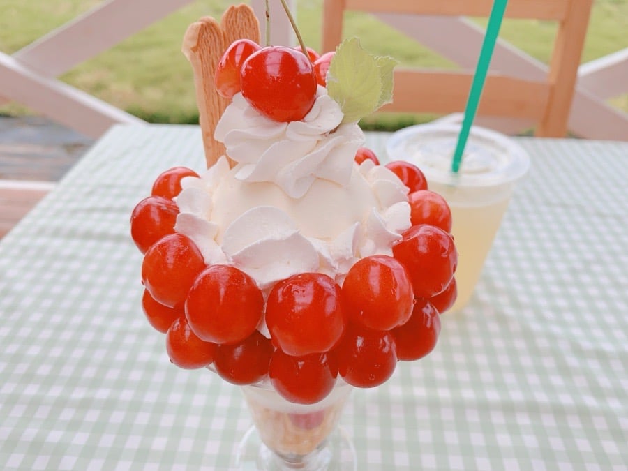 宝石のように輝く絶品さくらんぼパフェを堪能！農家カフェ「森の