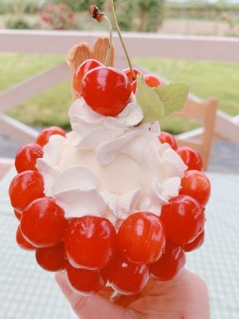 宝石のように輝く絶品さくらんぼパフェを堪能！農家カフェ「森の