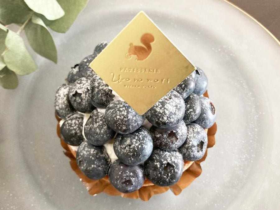 三鷹】ブルーベリーフェアと新作スイーツをチェック！うーおの森