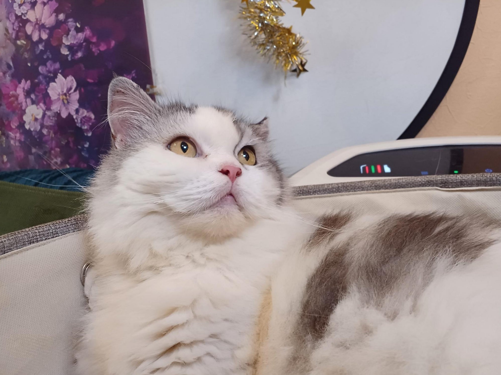 GridArt_20240708_120856340_cop