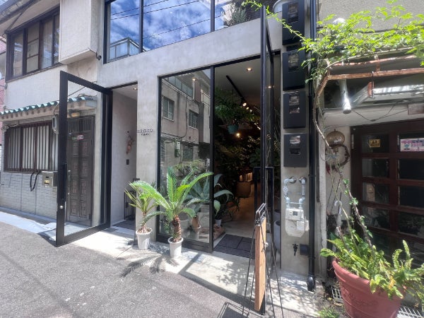 中崎町】観葉植物だらけの隠れ家カフェ「BROTO PLANT CAFE（ブロット