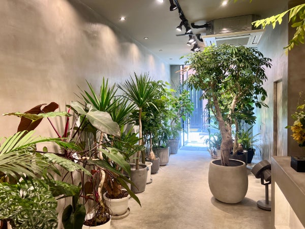 中崎町】観葉植物だらけの隠れ家カフェ「BROTO PLANT CAFE（ブロット